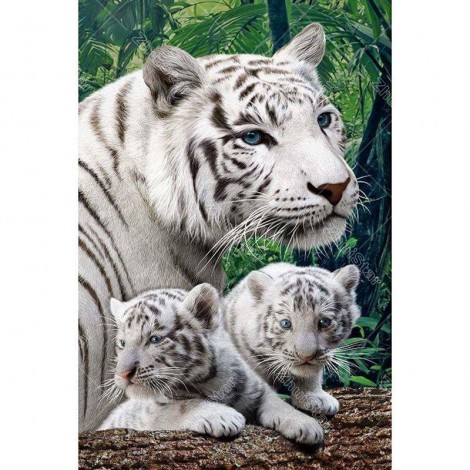 5D DIY Diamond Painting Kits CoolAnimal White Tiger