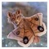 5D DIY Diamond Painting Kits Cartoon Different Color Butterfly Tiger