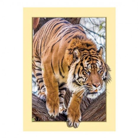 5D DIY Diamond Painting Kits Cool Tiger