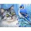 5d Diy Diamond Painting Kits Bird Cat