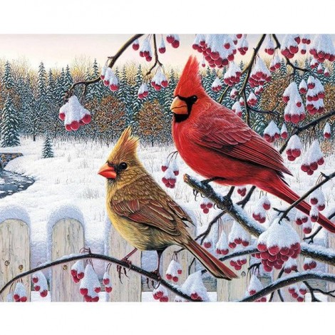 5D DIY Diamond Painting Kits Winter Birds on the Branches