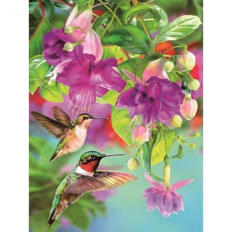 5D DIY Diamond Painting Kits Cartoon Hummingbird