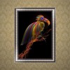 5D DIY Diamond Painting Kits Colorful Artistic Bird