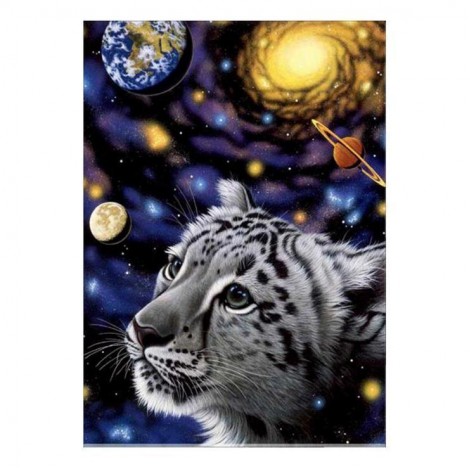 5D DIY Diamond Painting Kits Cartoon Tiger Universe