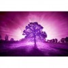 5D DIY Diamond Painting Kits Purple style Beautiful Tree With Evening SunShine