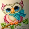 5D Diamond Painting Kits Colorful Cute Female Owl