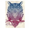 5D DIY Diamond Painting Kits Special Cool Owl