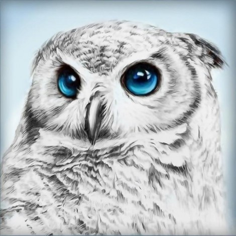 5D DIY Diamond Painting Kits Special Owls Pattern
