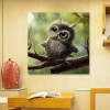 5D DIY Diamond Painting Kits Cartoon Animals Owl