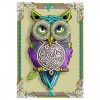 5D DIY Diamond Painting Kits Cartoon Cool  Owl