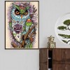 5D DIY Diamond Painting Kits Colorful Cool Cartoon Owl