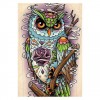 5D DIY Diamond Painting Kits Colorful Cool Cartoon Owl
