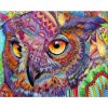 5D DIY Diamond Painting Kits Colorful Cartoon Lovely Owl