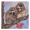 5D Diamond Painting Kits Warm And Lovely Oil Painting Styles Owl