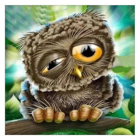 5D DIY Diamond Painting Kits Cartoon Lovely Funny Owl