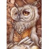 5D DIY Diamond Painting Kits Cartoon Funny Animal Owl