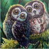 5D DIY Diamond Painting Kits Funny Cartoon Cute Owls Lover