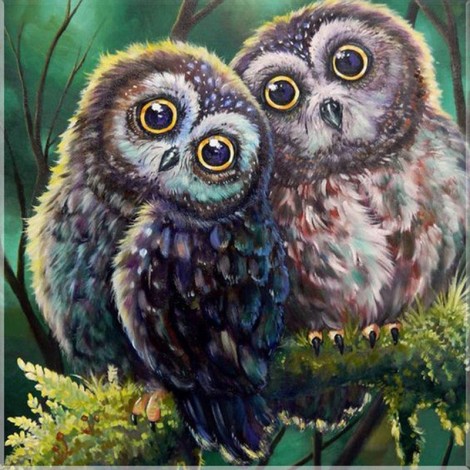 5D DIY Diamond Painting Kits Funny Cartoon Cute Owls Lover