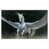 5D DIY Diamond Painting Kits Fantasy Flying White Horse