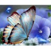 2019 New Hot Sale Full Circular Butterfly 5d Diy Diamond Painting Kits