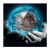5D DIY Diamond Painting Kits Dream Earth Wolf in Hands