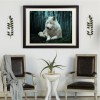 5D DIY Diamond Painting Kits Special White Wolf in the Dark Forest