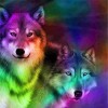 5D DIY Diamond Painting Kits Dream Cool Color Wolfs