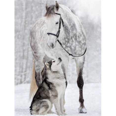 5d Diy Diamond Painting Kits Horse Wolf