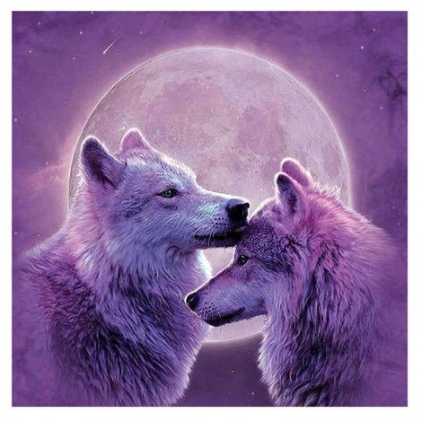 5D DIY Diamond Painting Kits Dream Moon Wolf Lover