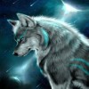 5D DIY Diamond Painting Kits Special Cool Wolf Moonlight
