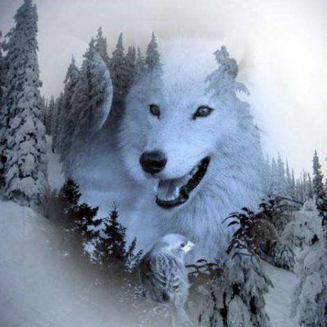 5D DIY Diamond Painting Kits Dream Forest Winter White Wolf