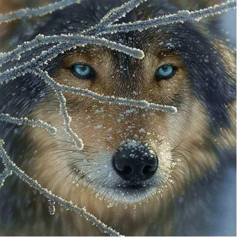 5D DIY Diamond Painting Kits Winter Cool Wolf