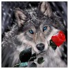 5D DIY Diamond Painting Kits Dream Romantic Wolf Rose