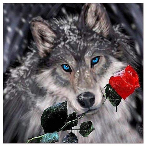 5D DIY Diamond Painting Kits Dream Romantic Wolf Rose