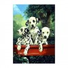 5D DIY Diamond Painting Kits Cartoon Cute Pet Dog