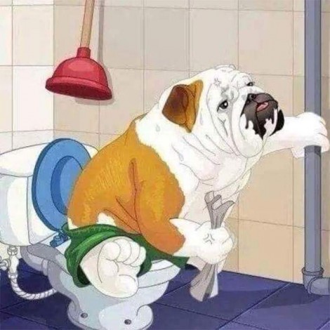 5D DIY Diamond Painting Kits Cartoon Funny Toilet Dog