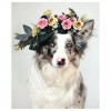 5D DIY Diamond Painting Kits Cute Special Flower Pet Dog