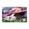 5D DIY Diamond Painting Kits Lovely Cat With Hat