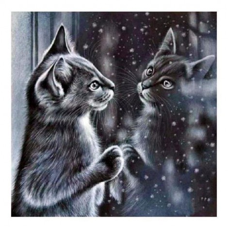 5D DIY Diamond Painting Kits Winter Black And White Cat In Mirror