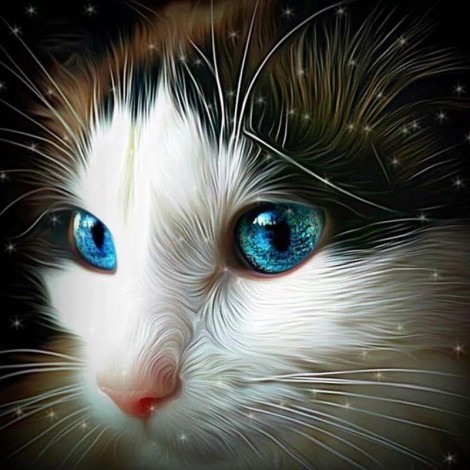 2019 New Cute Cat With Charming Blue Eyes 5d Diamond Diy Paint