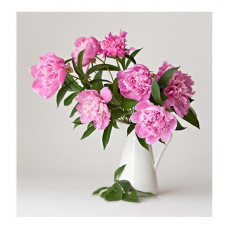 5D DIY Diamond Painting Kits Pink Flowers in Vase