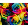 5D DIY Diamond Painting Kits Special Colorful Flowers