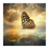 5D DIY Diamond Painting Kits Fantasy Beautiful Butterfly