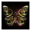 5D DIY Diamond Painting Kits Colored Butterfly Shine
