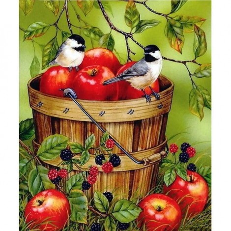 5D DIY Diamond Painting Kits Birds Apples
