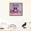 5D DIY Diamond Painting Kits Special Colorful Cute Owls