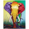 5D DIY Diamond Painting Kits Artistic Colorful Elephant