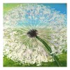 5D Diamond Painting Kits Watercolored Dandelion