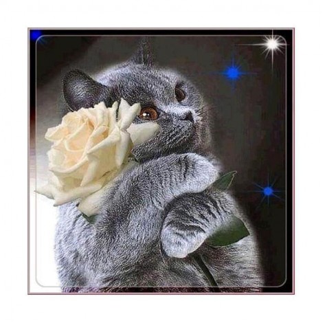 5d Diy Cross Stitch Diamond Painting Kits Cat Flower