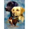 5D DIY Diamond Painting Kits Cartoon Pet Dogs